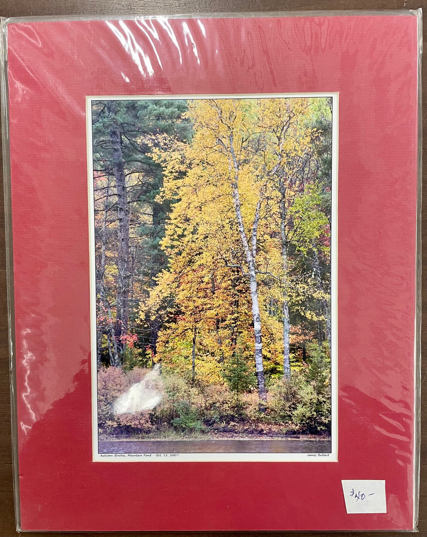 Matted Photography Prints - Medium - James Bullard
