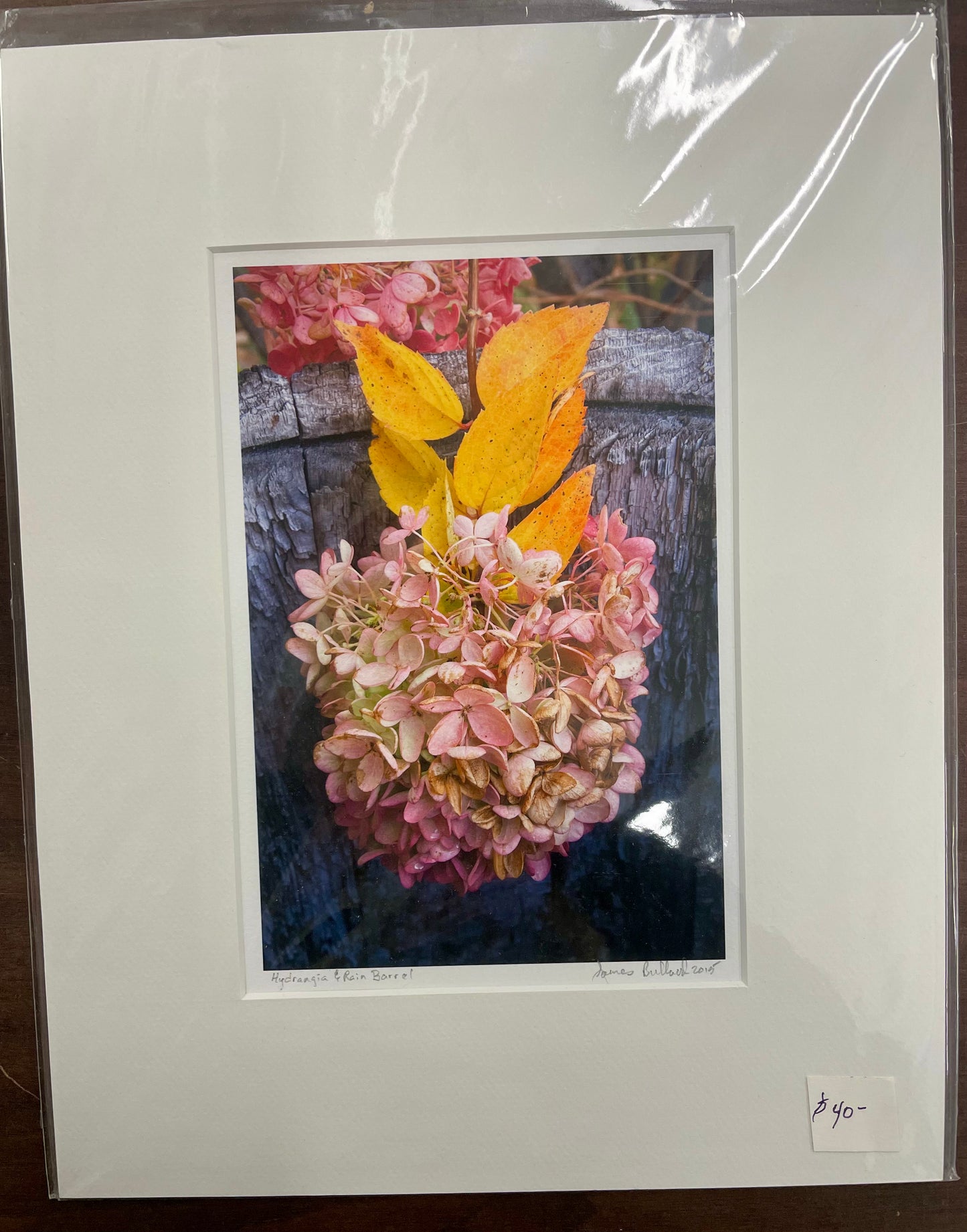 Matted Photography Prints - Medium - James Bullard