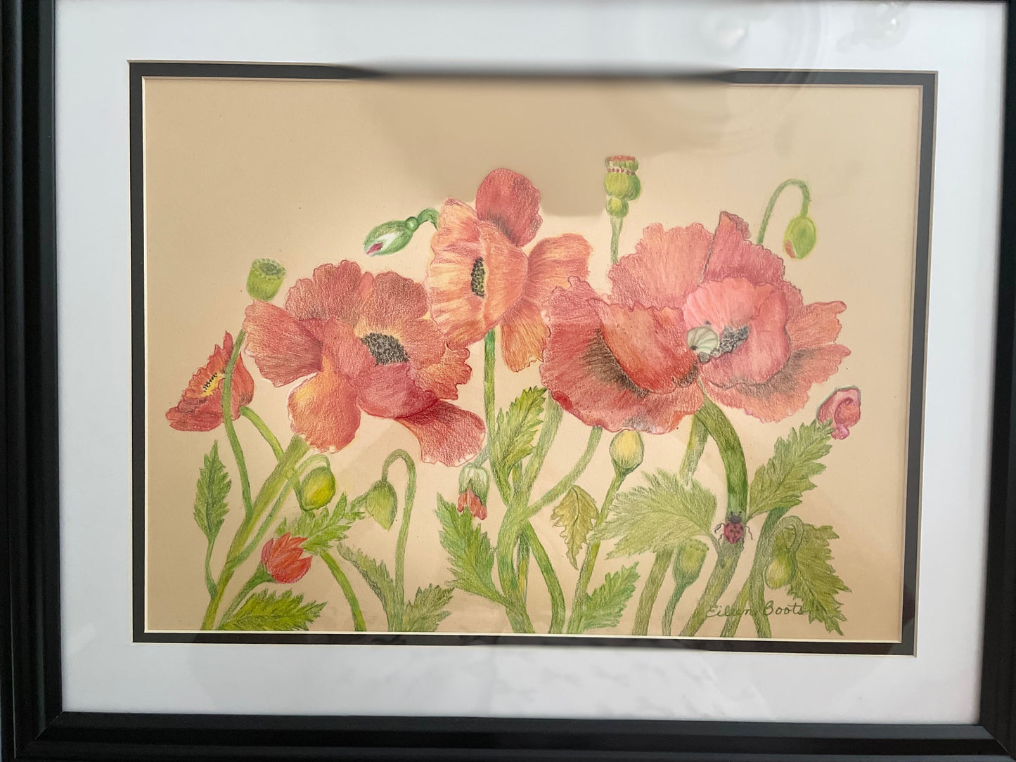 "The Poppies Grow" by Eileen Boots