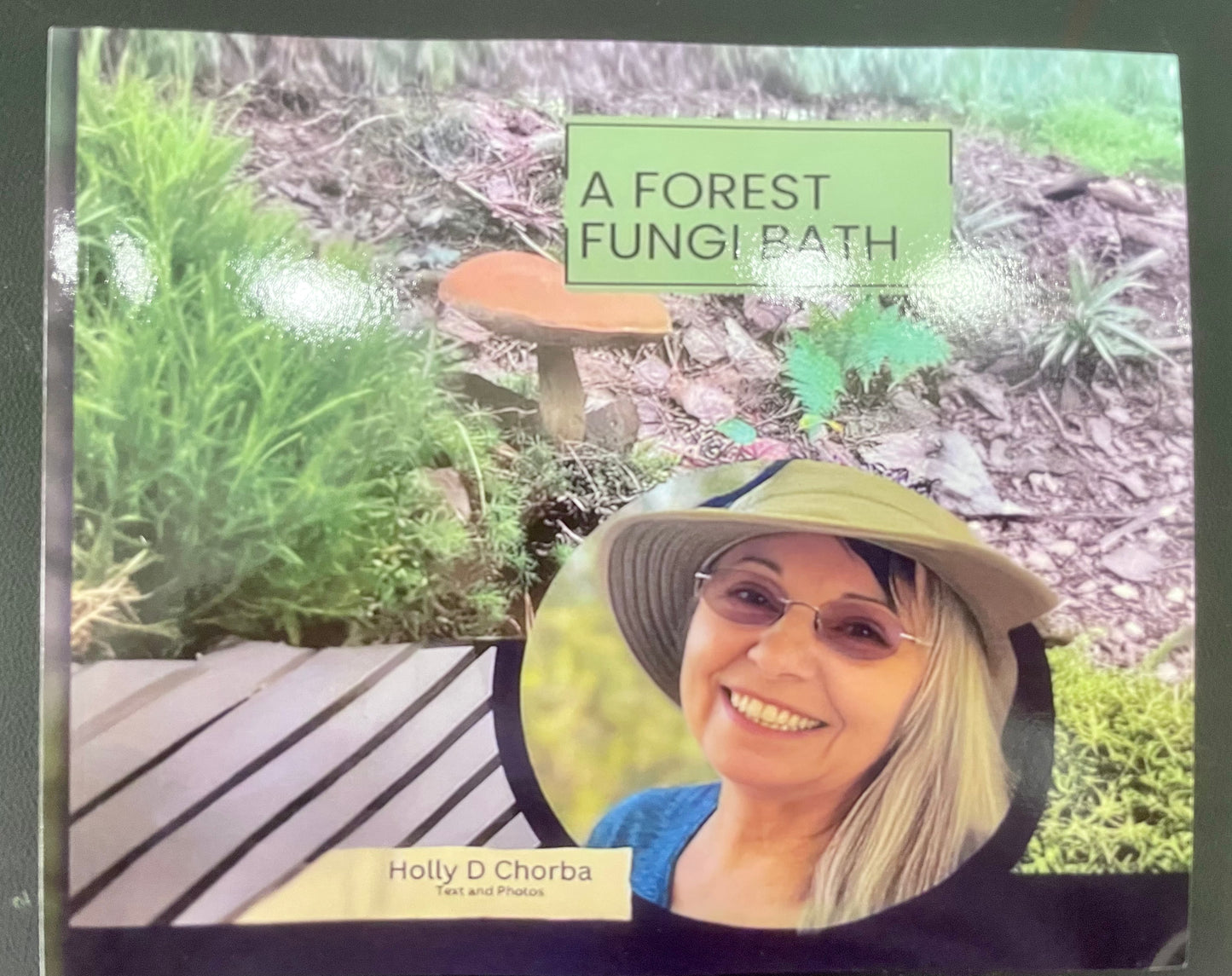 Book - A Forest Fungi Bath - Holly Chorba