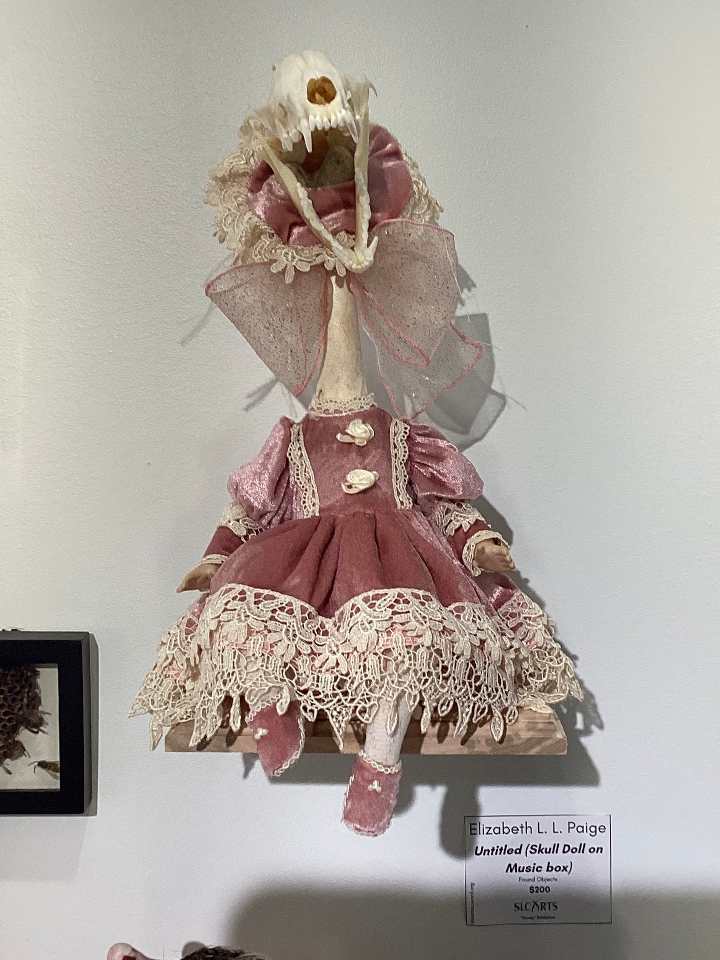 "Untitled (Skull Doll on Music Box)" Found Object Sculpture by Elizabeth L. L. Paige