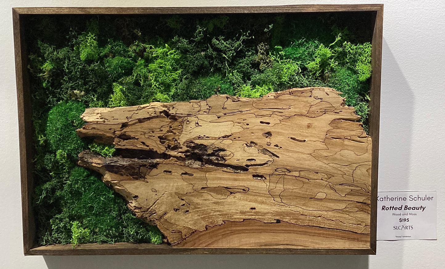 "Rotted Beauty" Wood and Moss Sculpture by Katherine Schuler