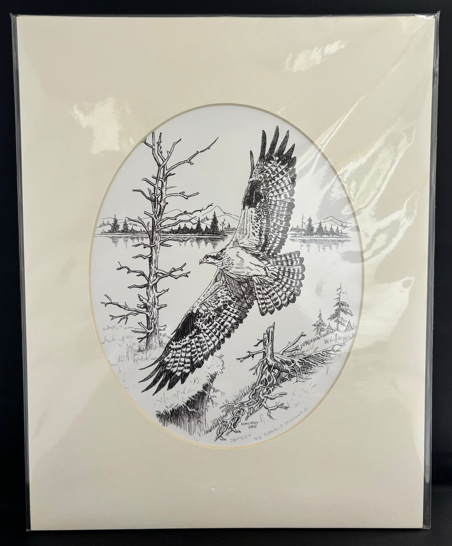 Matted OSPREY Oval Mat - Dennis Mackey