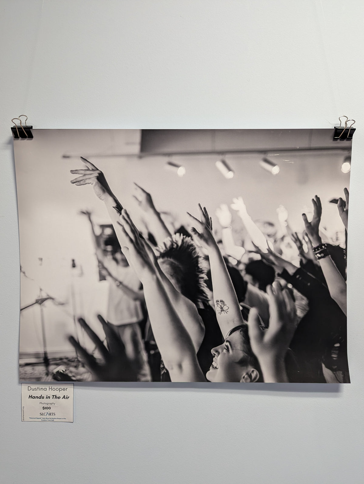 Dustina Hooper- Hands in the Air