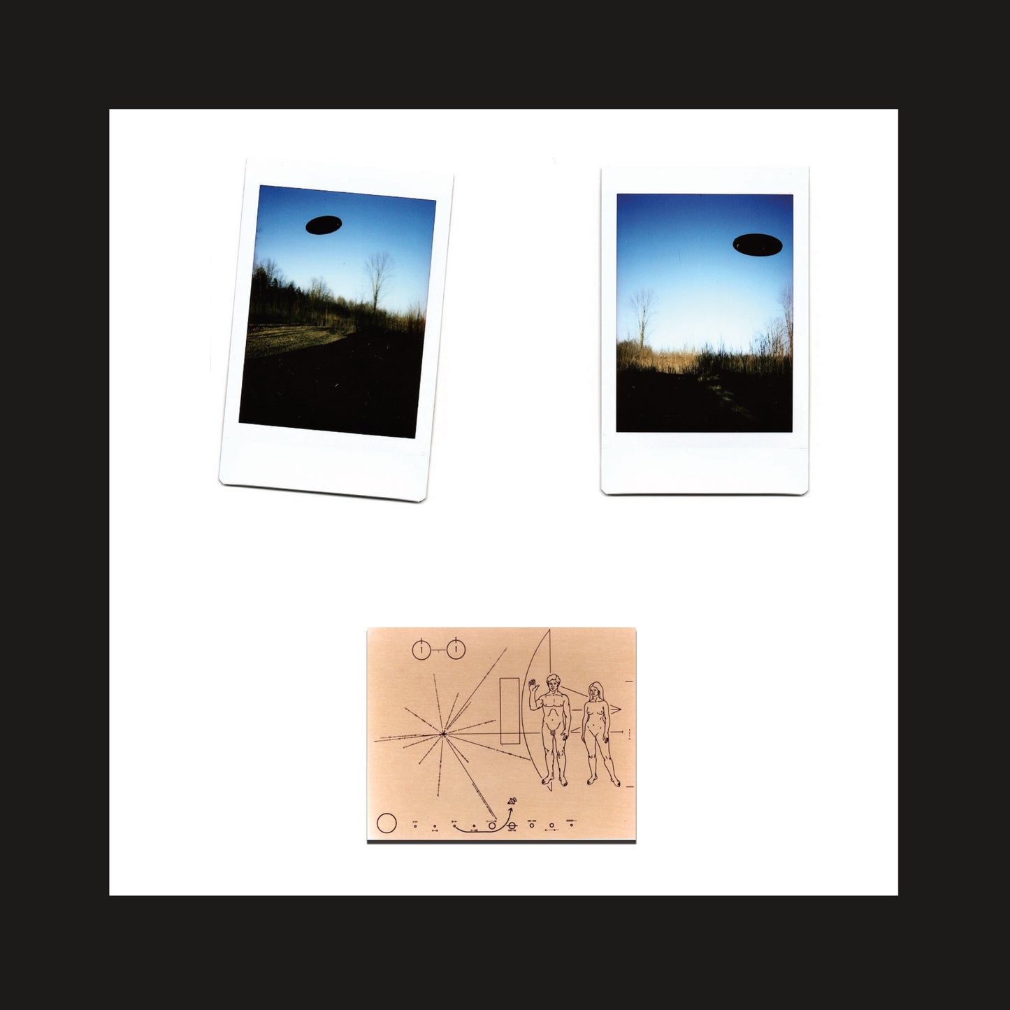 "Thanks for the directions! (They Replied)" by David Prosper