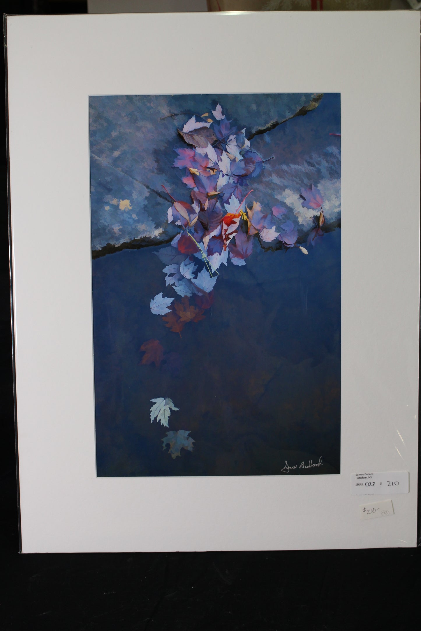 Matted Photography Prints, James Bullard