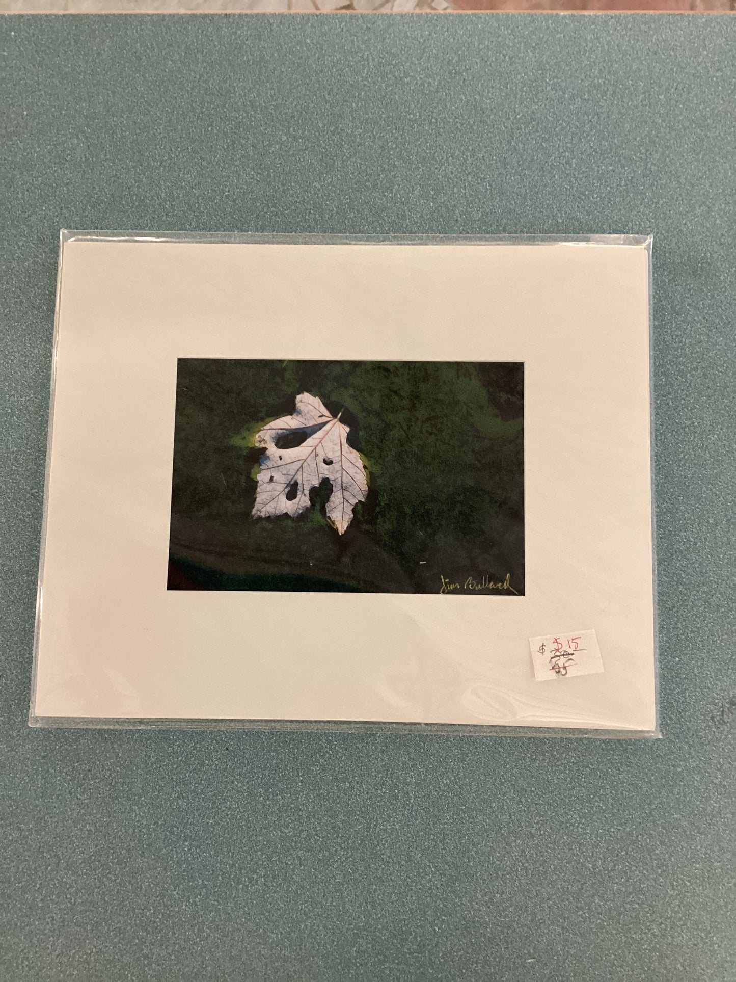 Prints - Jim Bullard
