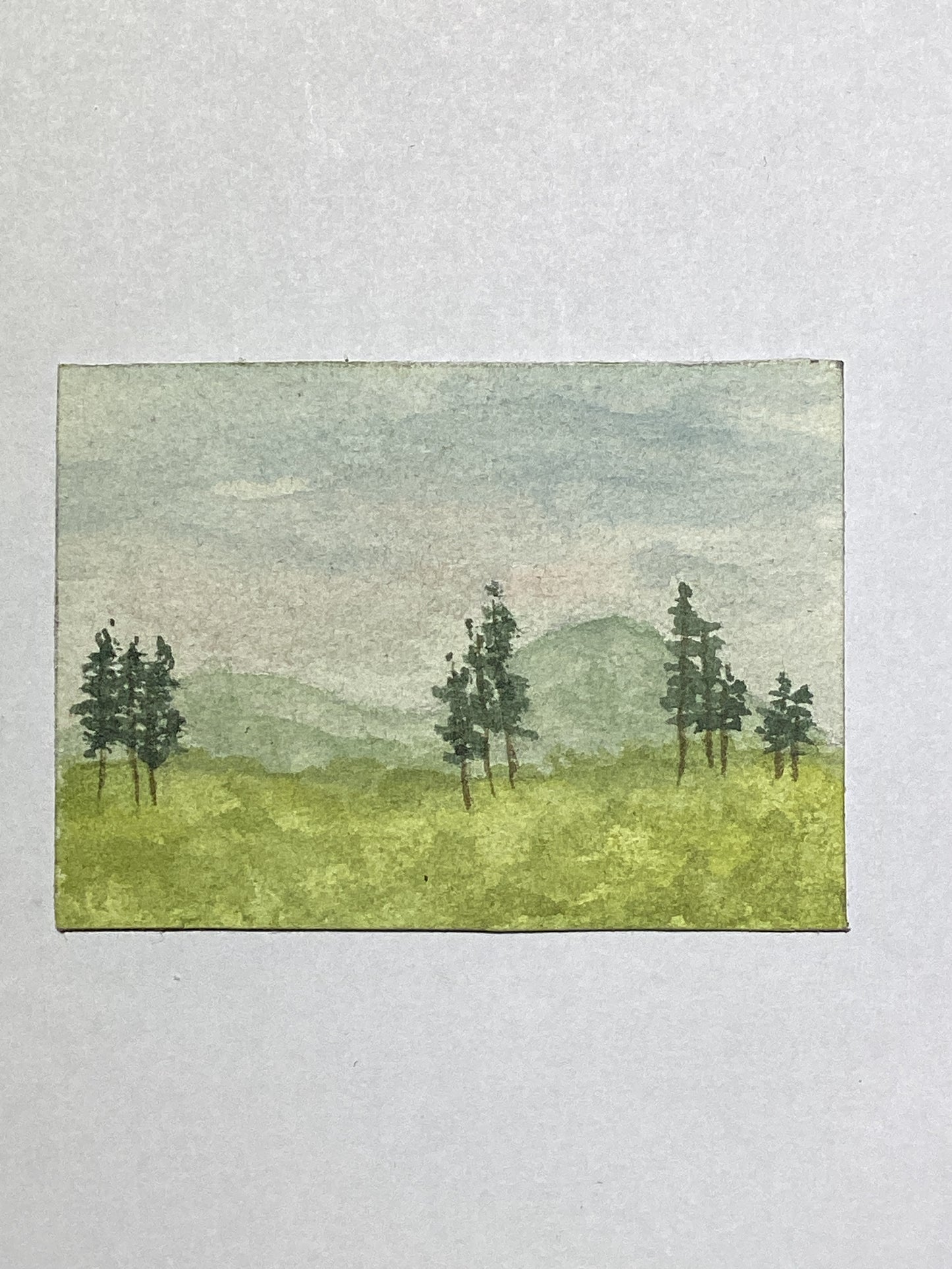 Mini Plein Air Watercolor on Easel