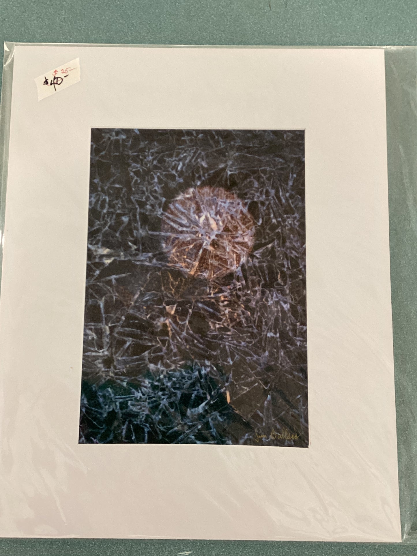 Prints - Jim Bullard