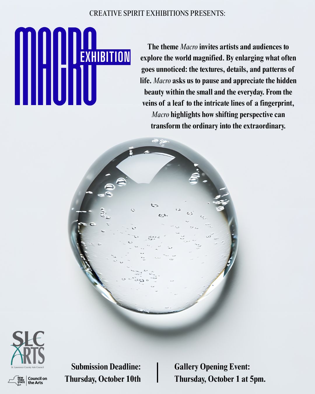 Exhibition Gallery Fees