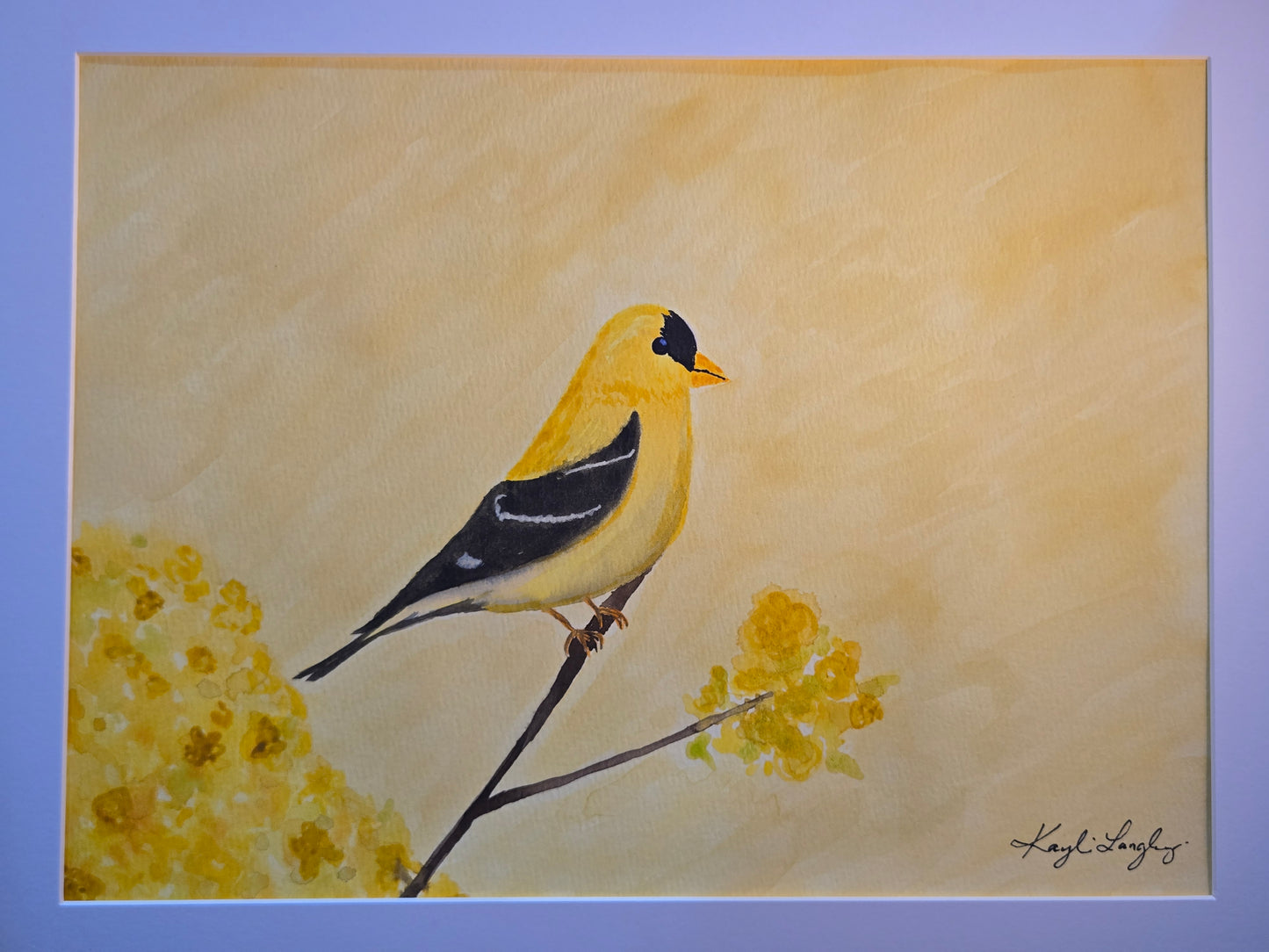 Kayli Langley- An American Goldfinch