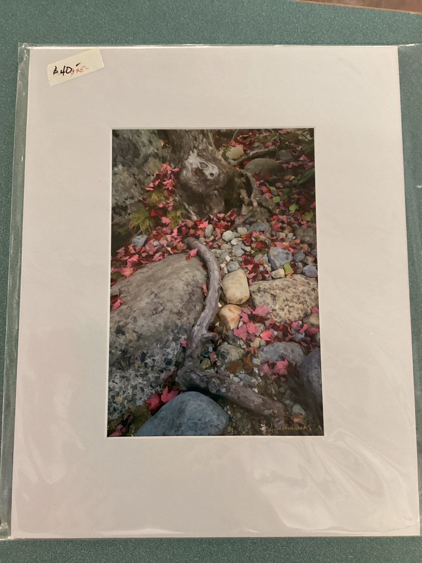 Prints - Jim Bullard