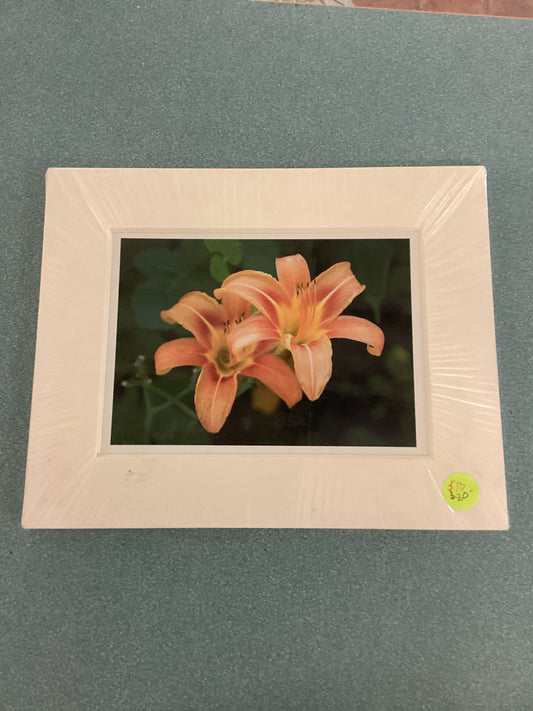 Prints - Jim Bullard