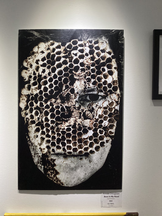 "Bees in My Head" Photograph by Aimee Douglass