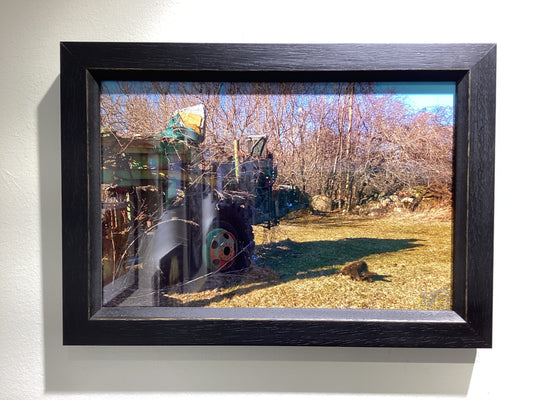 "This is my Home It Was Meant For Me" Photograph by David Prosper