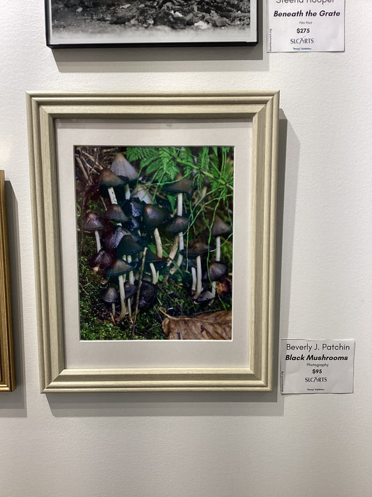 "Black Mushrooms" Photograph by Beverly J. Patchin