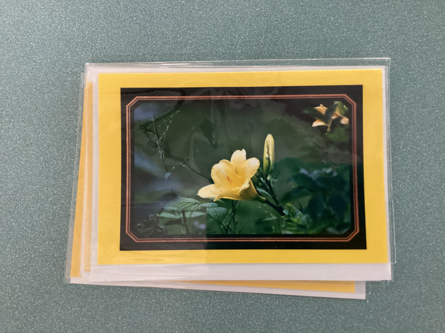 Greeting Cards by Colette Parmer