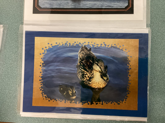 Greeting Cards by Colette Parmer