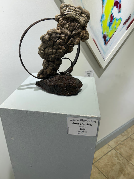 Carrie Plumadore- Birth of a Star