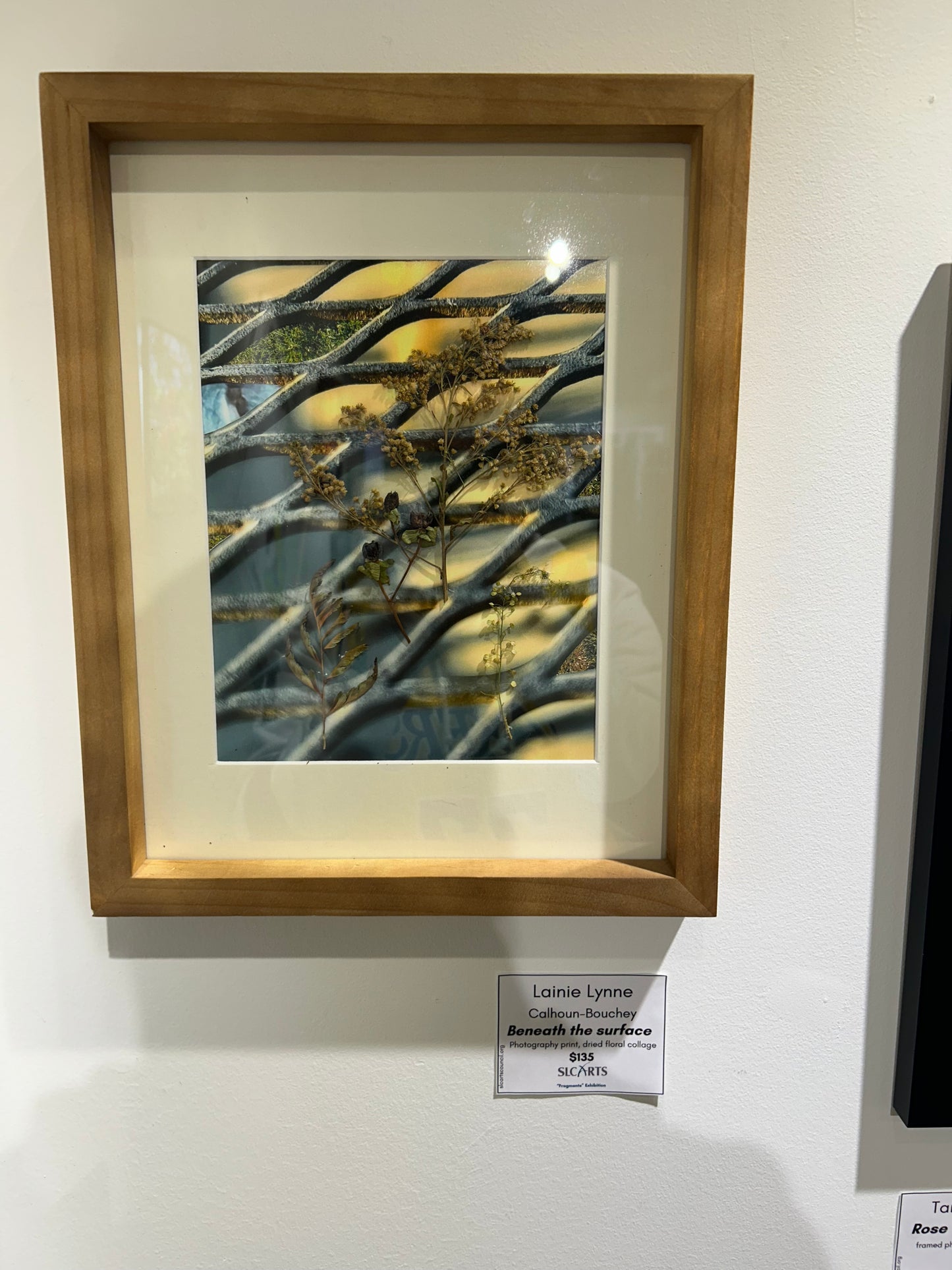 Lainie Lynne Calhoun-Bouchey - Beneath the Surface