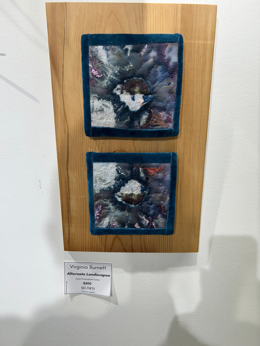 Virginia Burnett- Alternate Landscapes