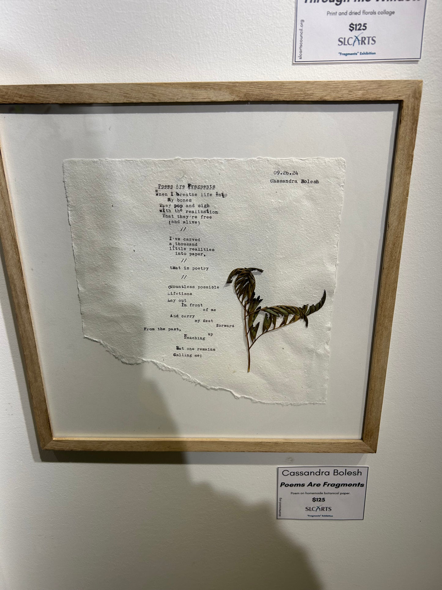 Cassandra Bolesh- Poems Are Fragments