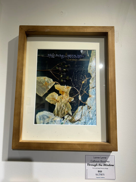 Lainie Lynne Calhoun-Bouchey - Through the Window