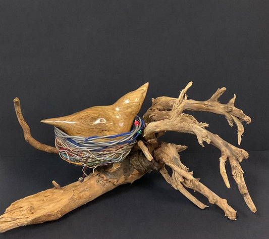 House Wren - Robert Docker