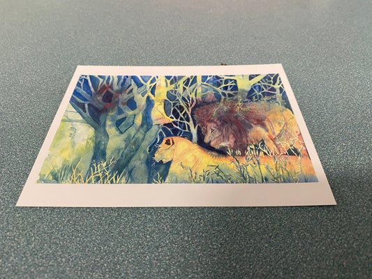 Postcards - David Crowell