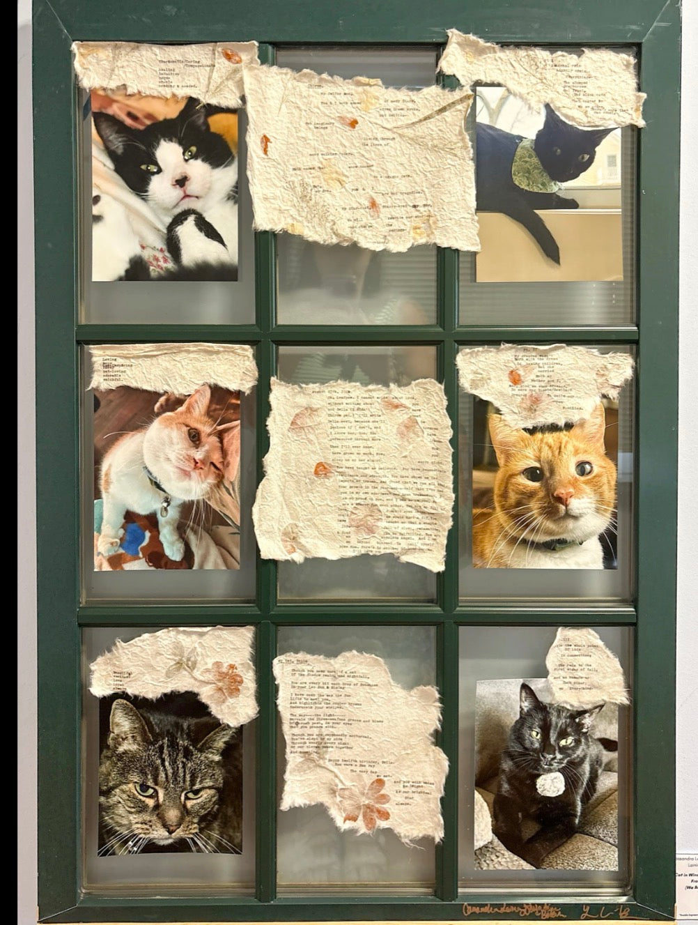 Cassandra Leona  Desjardins-Bolesh and Lainie Calhoun-Bouchey: Cat in the Window = Won the Game of Life from the Backseat// To Build
