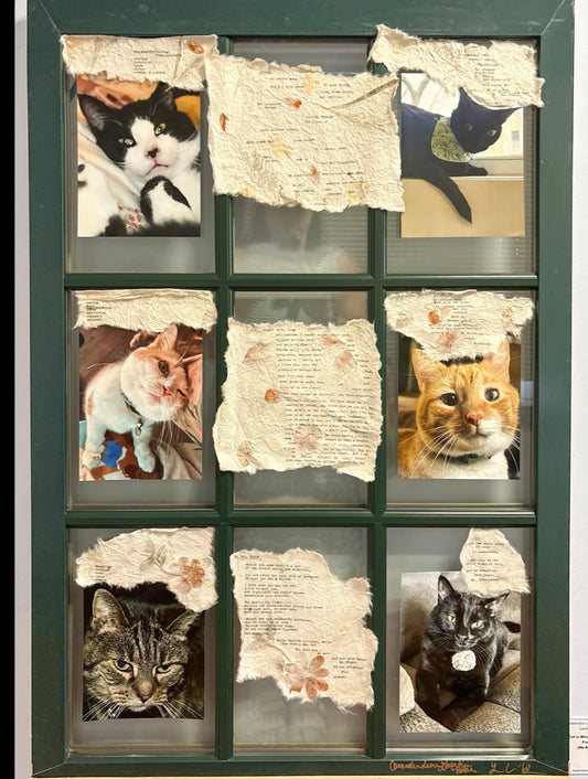 Cassandra Leona  Desjardins-Bolesh and Lainie Calhoun-Bouchey: Cat in the Window = Won the Game of Life from the Backseat// To Build