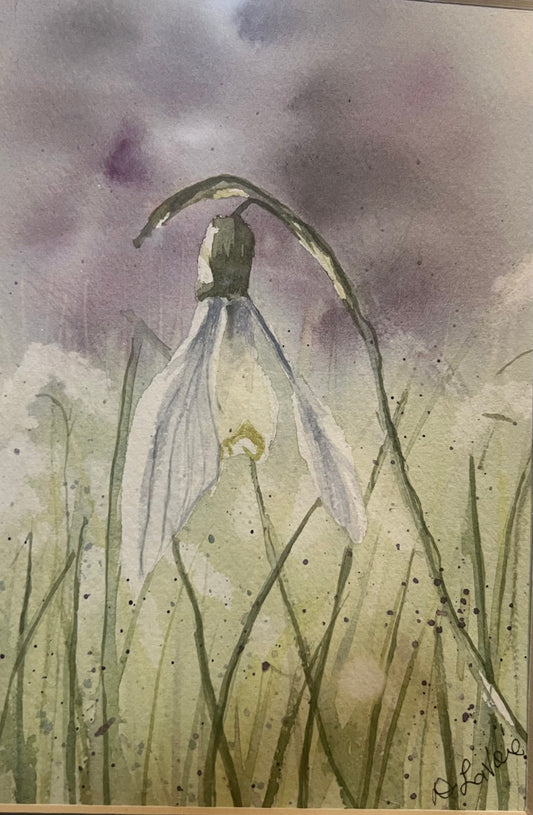 "Snowdrop" by Dominique LaVoie