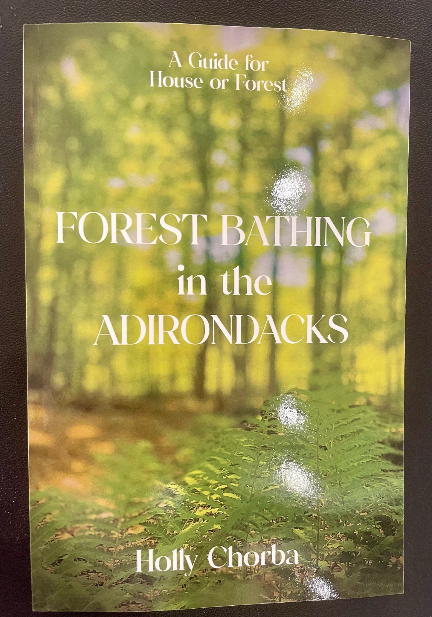 Book - Forest Bathing in the Adirondacks - Holly Chorba