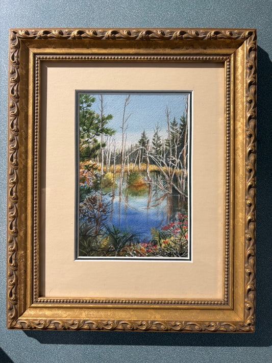Clouds in the Frog Pond - Anna Gerhard-Arnold