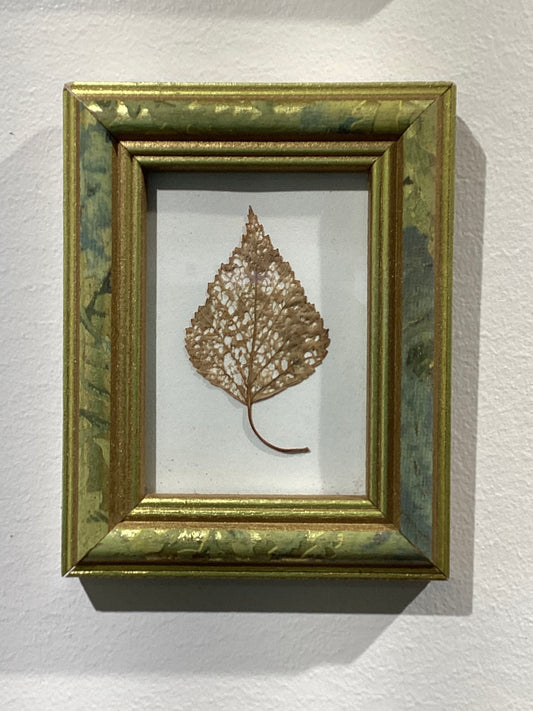 "Skeleton Leaves" Found Objects by Elizabeth L. L. Paige