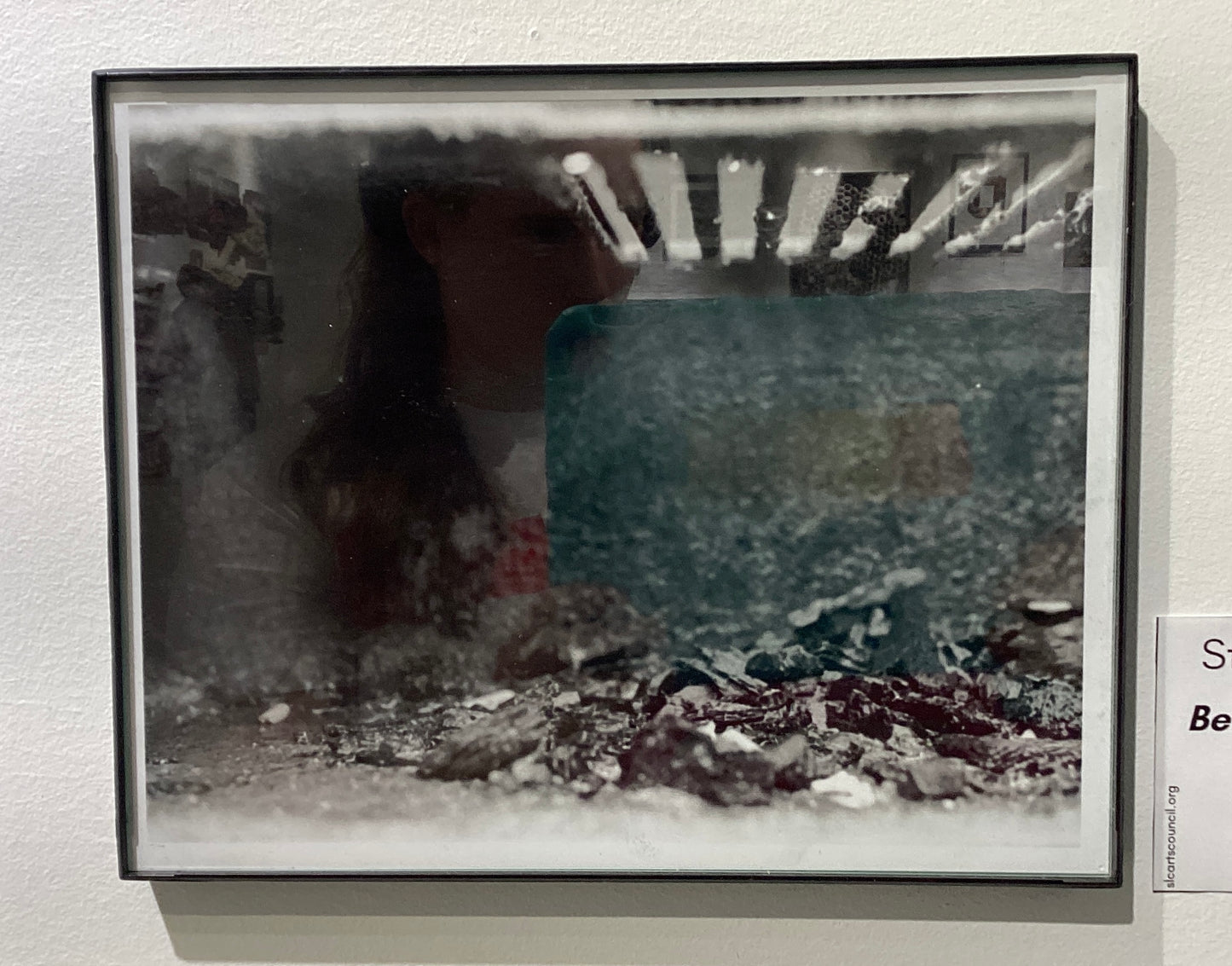 "Under the Grate" Photograph by Steena Hooper