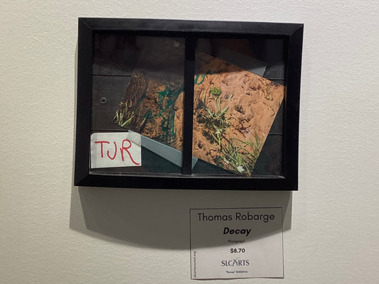 "Decay" Photograph by Thomas Robarge