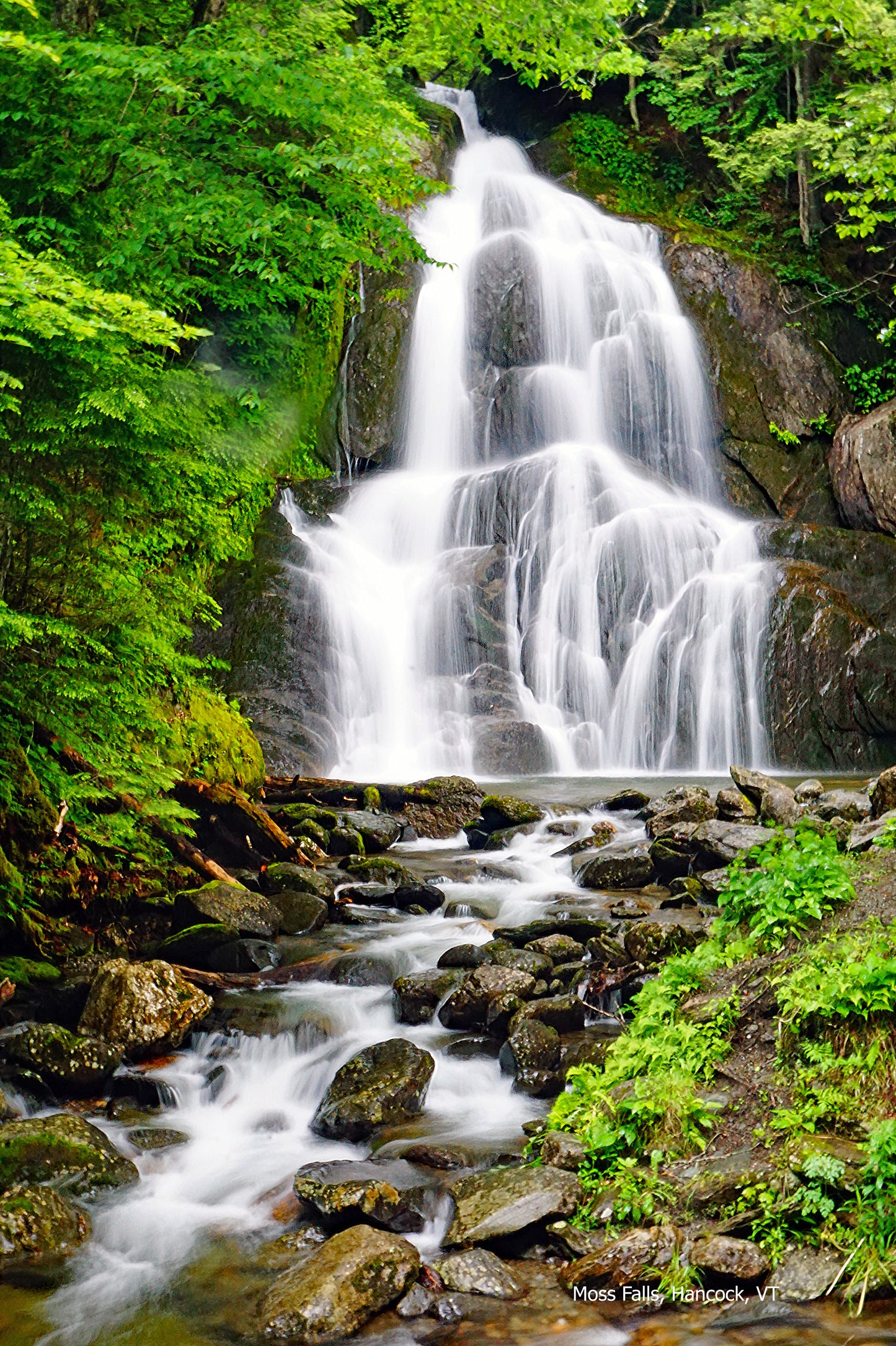 Beverly J. Patchin- Moss Falls, Hancock, VT