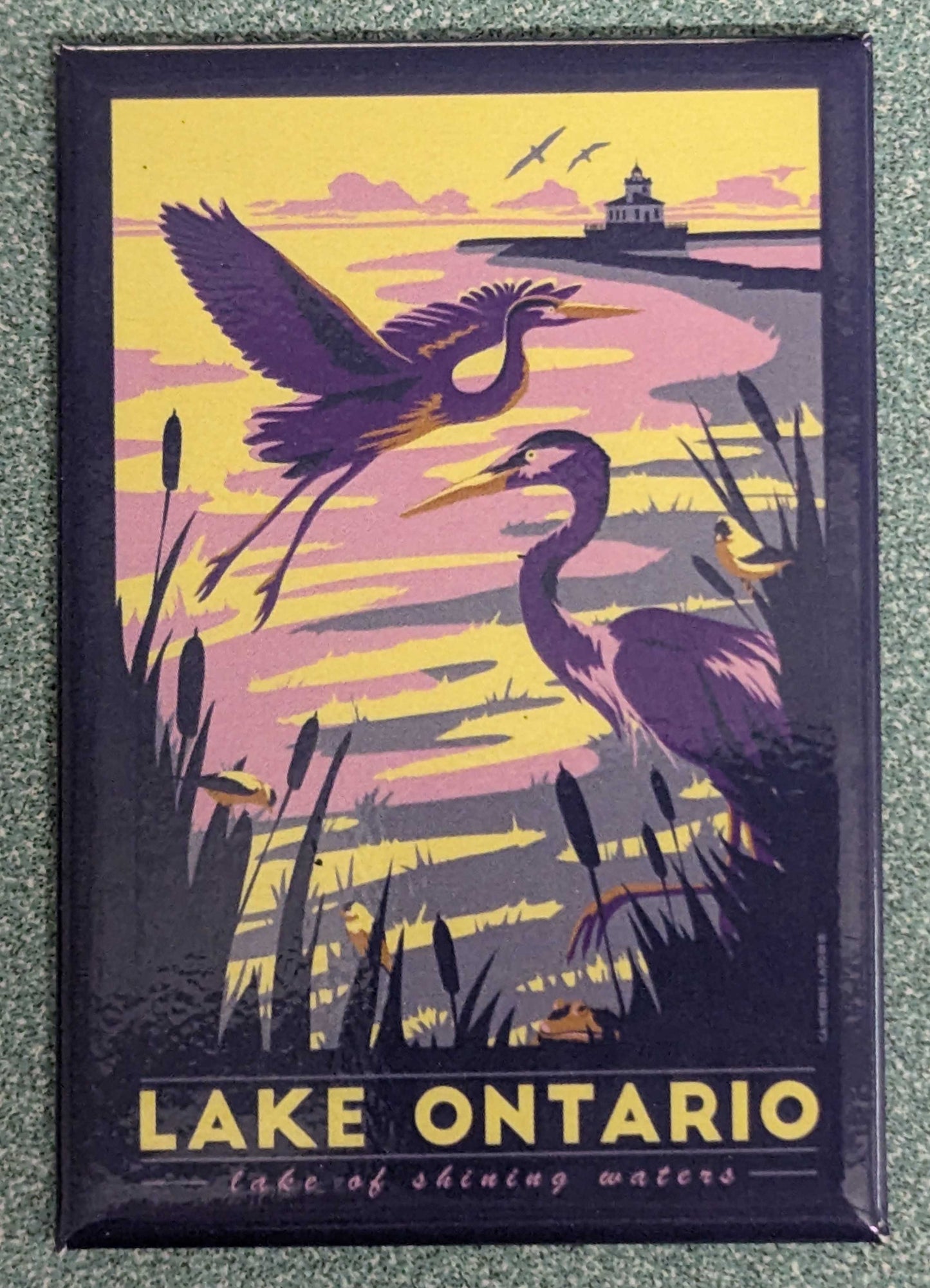 Magnets -  Catherine LaPointe-Vollmer