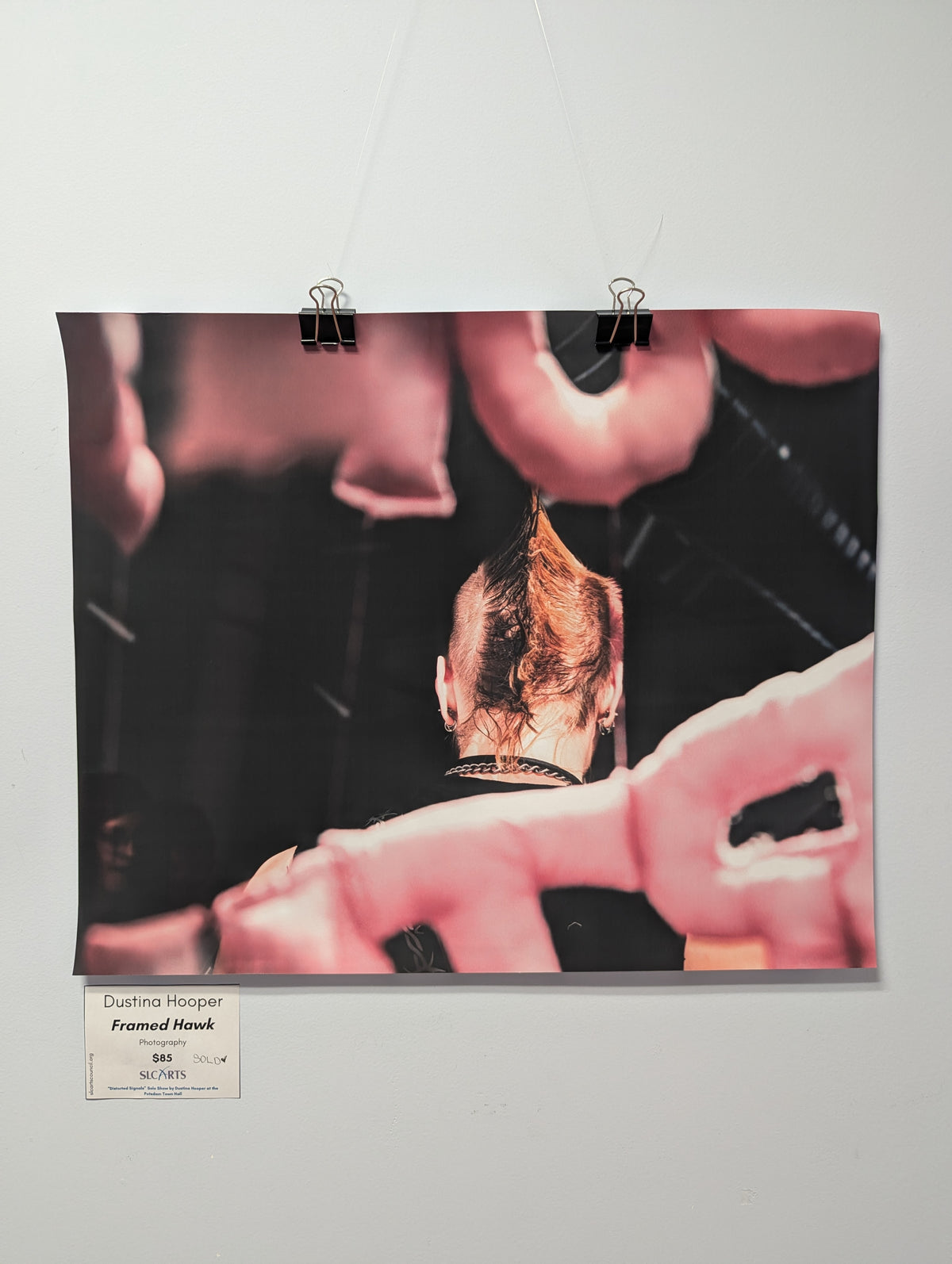 Dustina Hooper- Framed Hawk