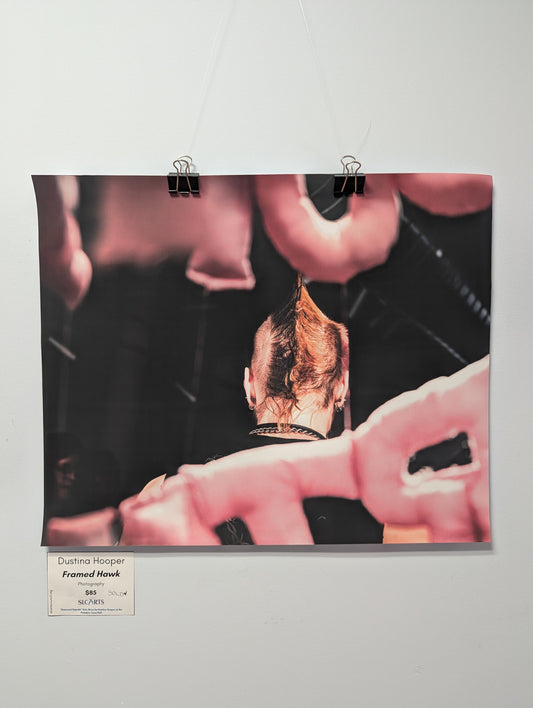 Dustina Hooper- Framed Hawk