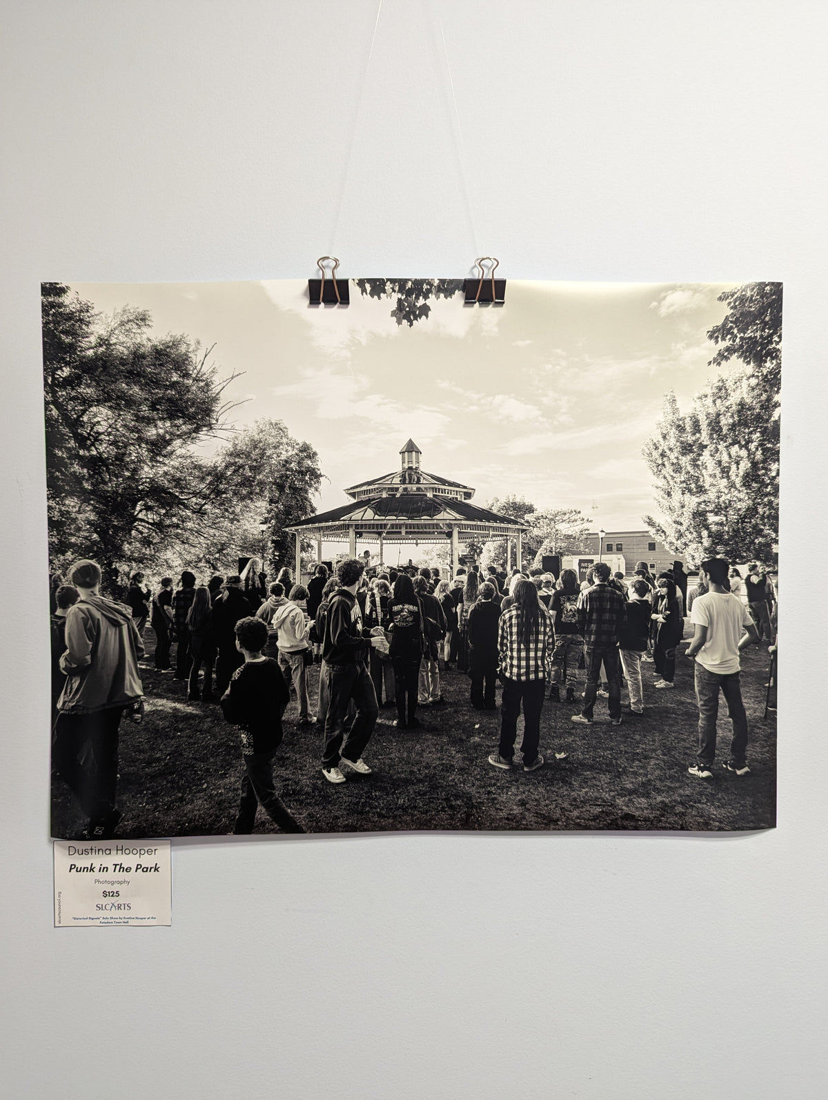 Dustina Hooper- Punk in the Park