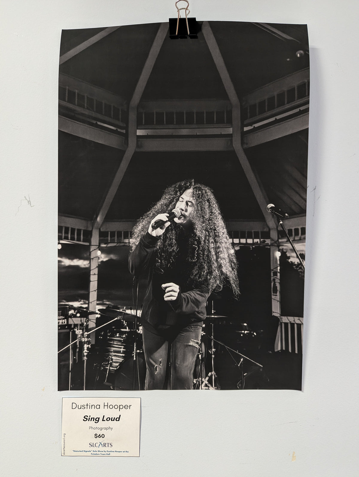Dustina Hooper- Sing Loud