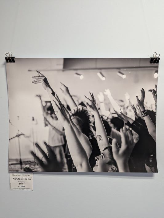 Dustina Hooper- Hands in the Air