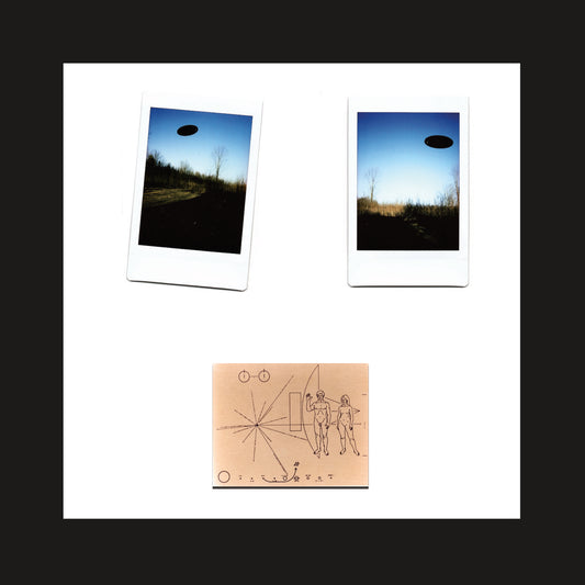 "Thanks for the directions! (They Replied)" by David Prosper
