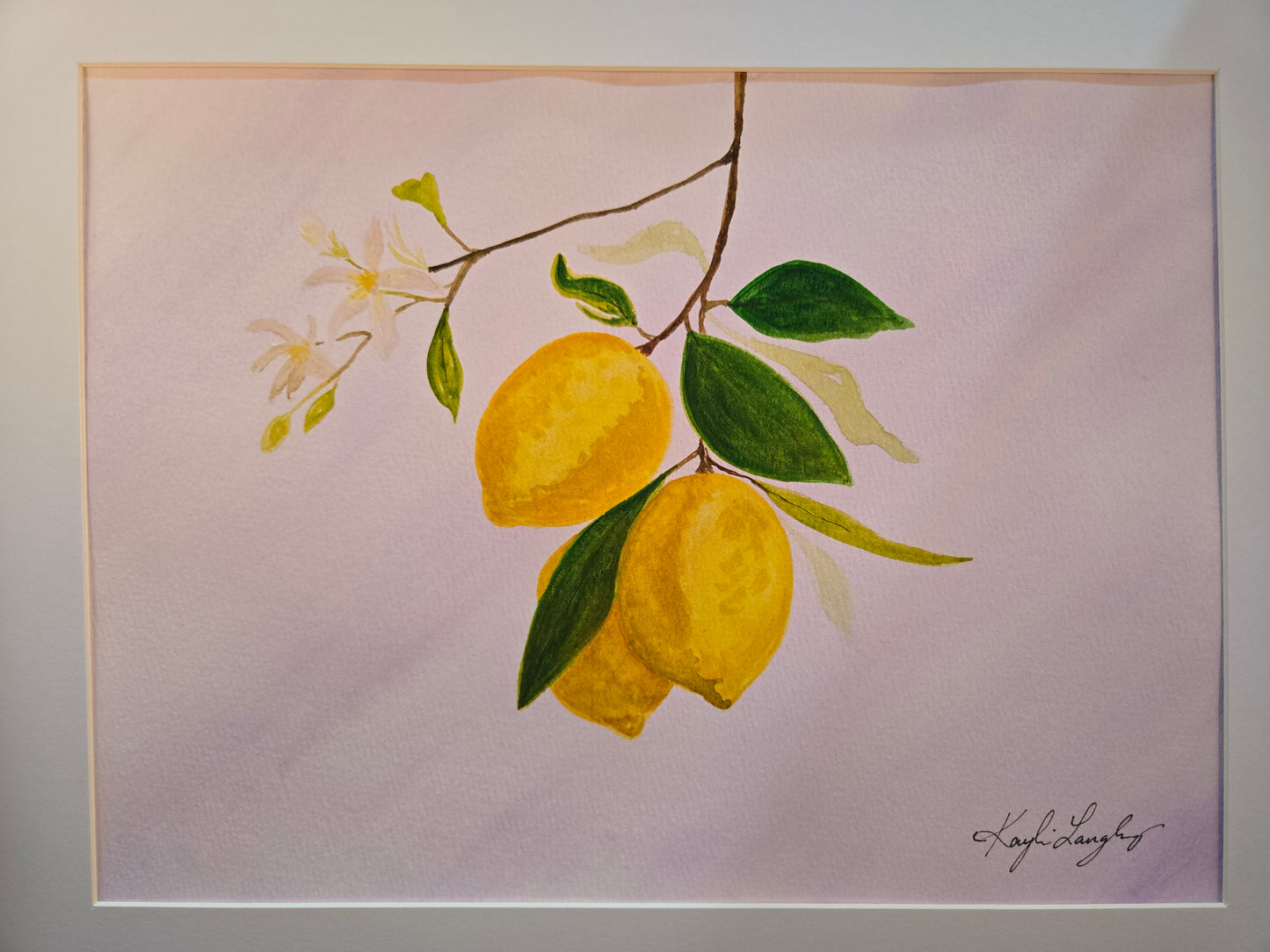 Kayli Langley- When Life Gives You Lemons