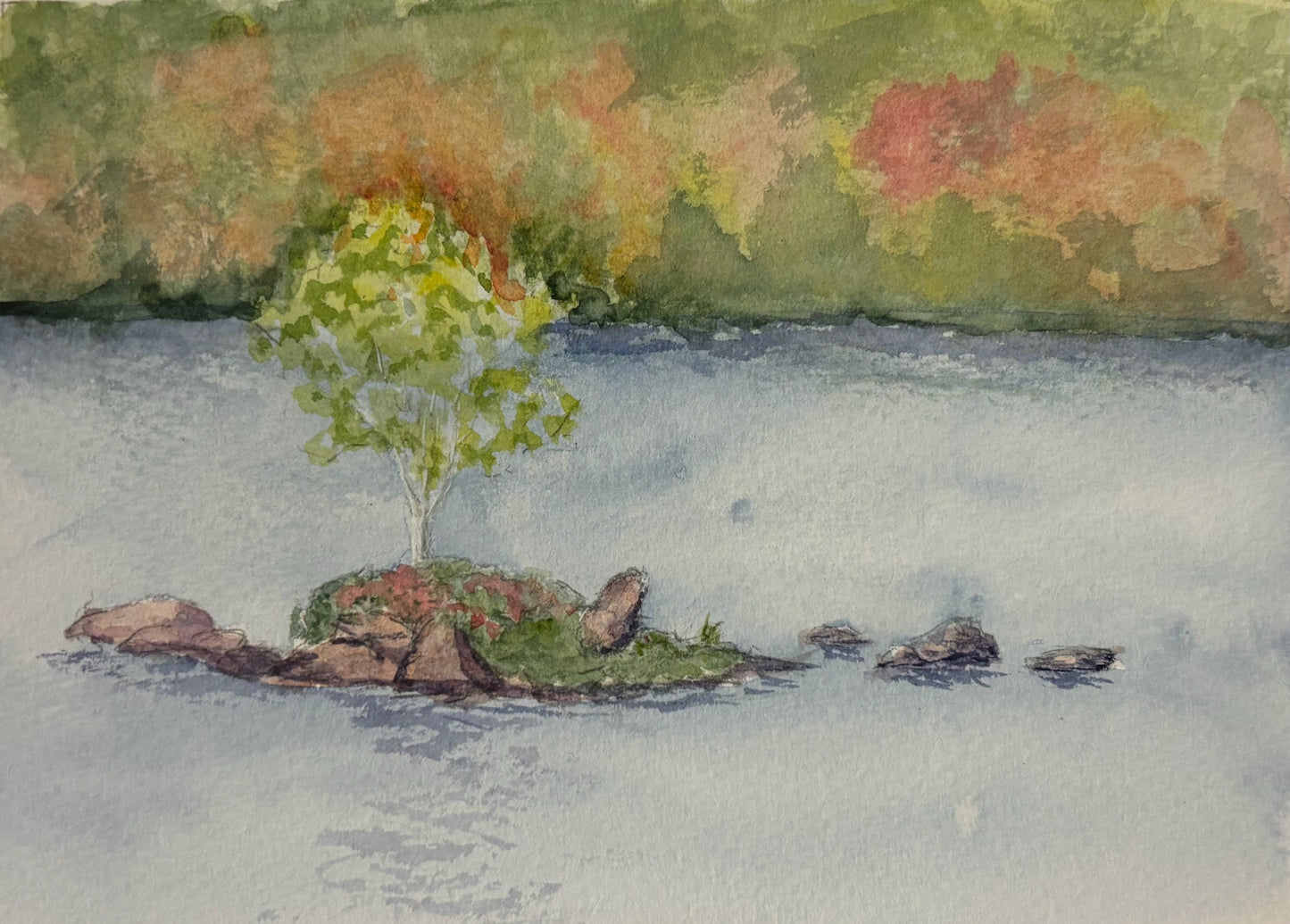 David Crowell- Where the Ducks Fish