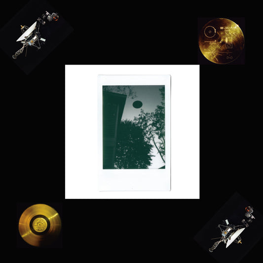 "Your record skips, we'd like to return it. (They Replied)" by David Prosper