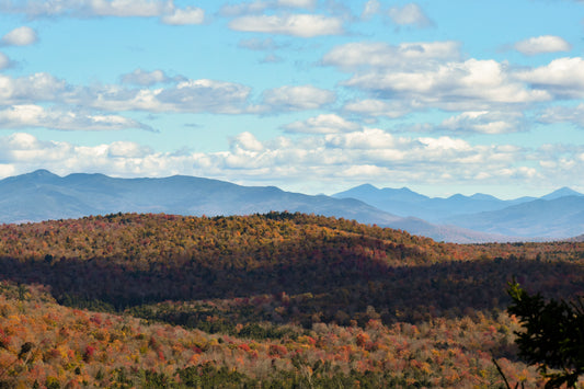 Allison Montroy - Slice of ADK Heaven