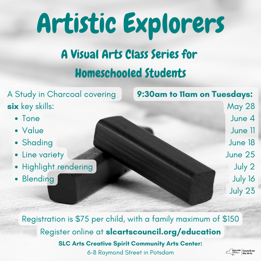 Artistic Explorers: A Visual Arts Class Series for Homeschooled Students